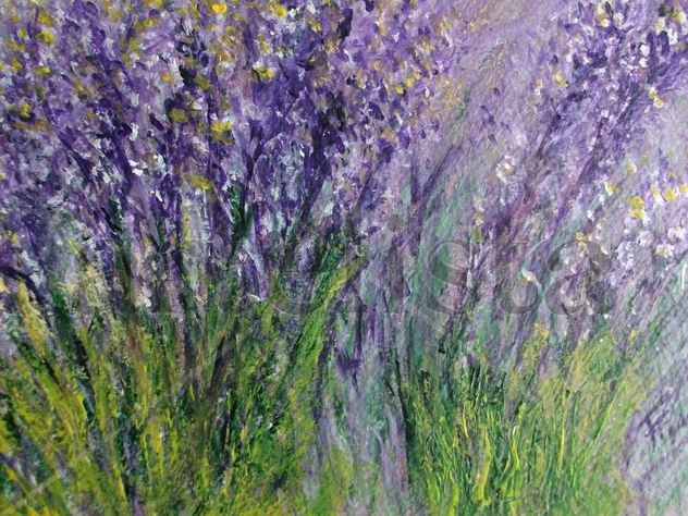 CAMPO DE FLORES DE LAVANDA.