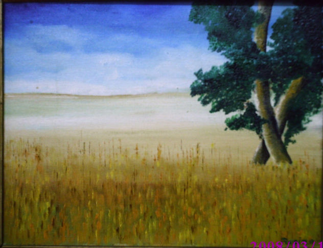 campo de trigo