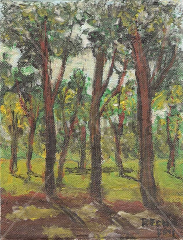 EL SOL EN LA ARBOLEDA
