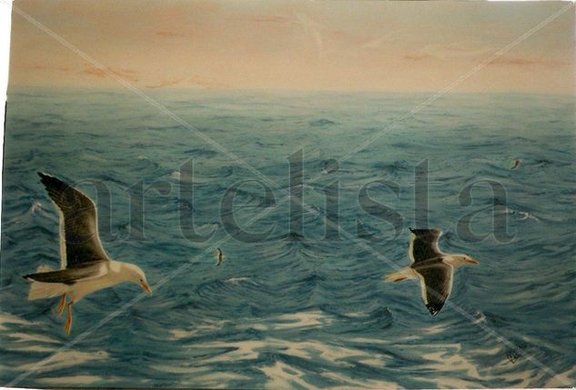 gaviotas Oil Canvas Landscaping