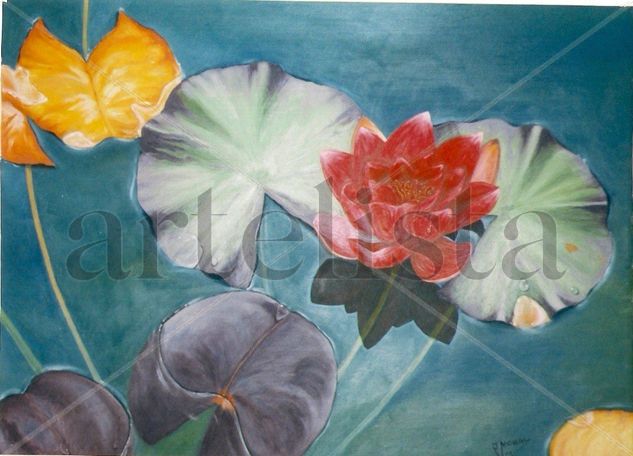 Nenúfar Oil Canvas Floral Painting