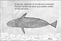 Diluvios