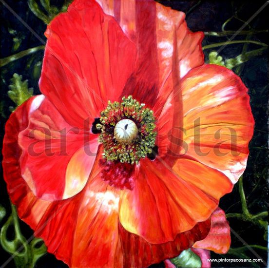 AMAPOLA II Oil Canvas Floral Painting