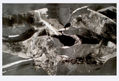 metamorfosis 2