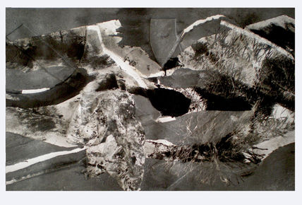 Metamorfosis 2