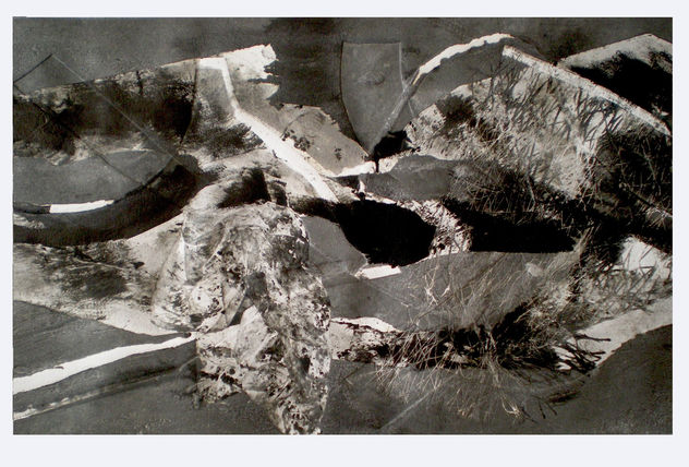 metamorfosis 2