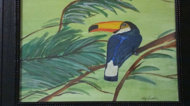 tucan 