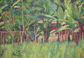 nicaragua