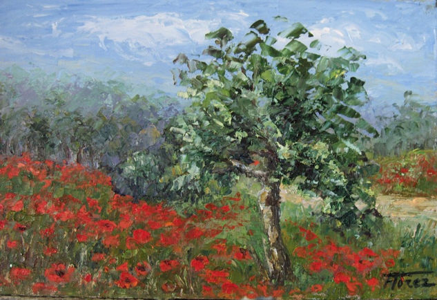 Amapolas Óleo Tabla Paisaje