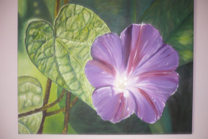 La gran petunia