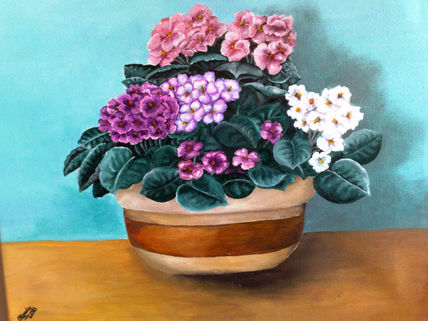 Violetas