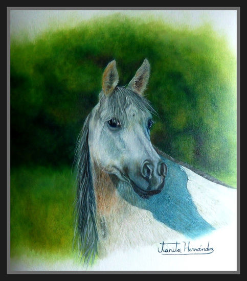 Caballo blanco Oil Paper Animals