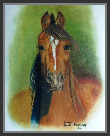 Caballo I Oil Paper Animals