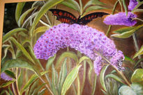 Lilas y mariposa