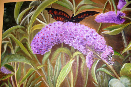 Lilas y mariposa