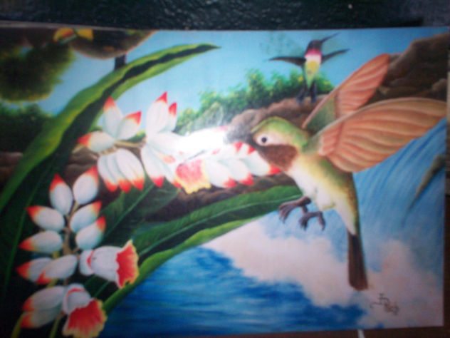 el afan y la anciedad del colibri