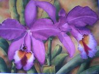 Orquideas violetas