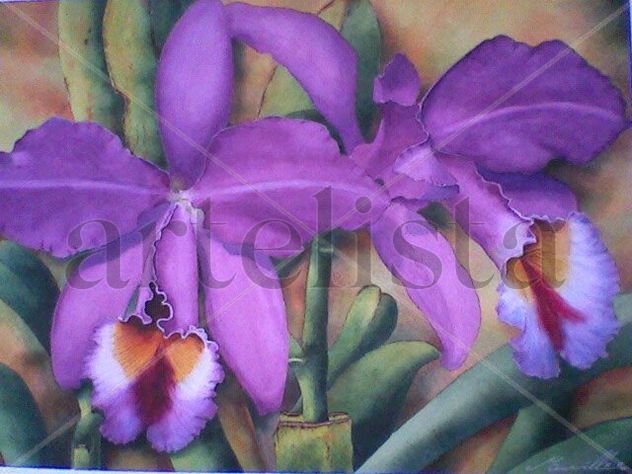 Orquideas violetas