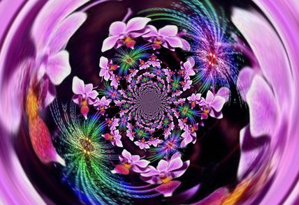 Fractal de orquideas