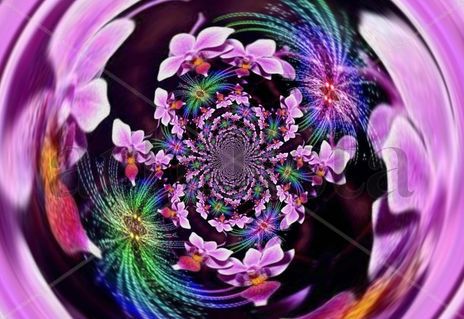 Fractal de orquideas