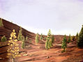 Paisaje