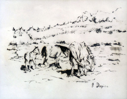 Caballos/Cabalos/Ho...