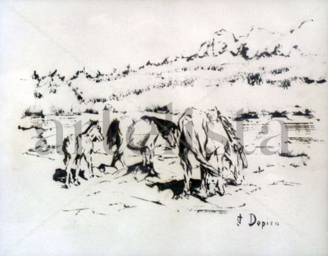 Caballos/Cabalos/Ho...