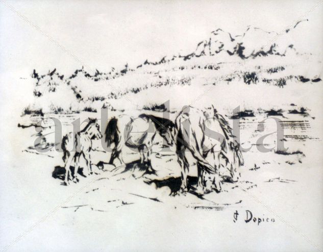 Caballos/Cabalos/Horses Ink Card Animals