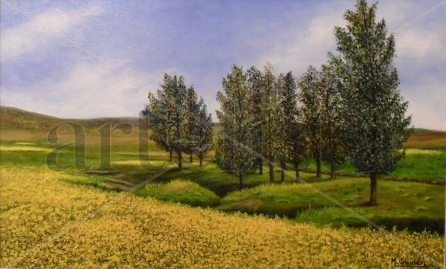 Colores del campo II