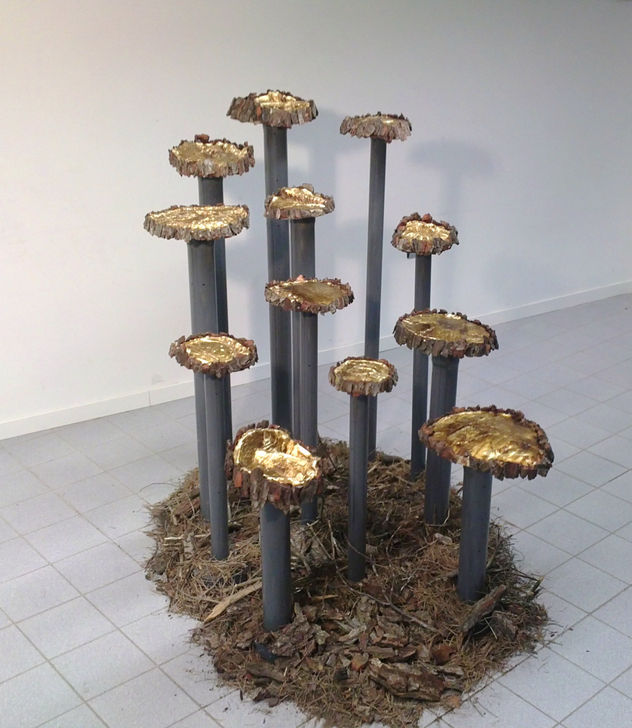 Rodajas de tronco talado