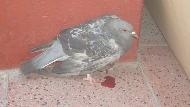 herida del cielo