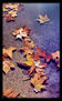 otoño