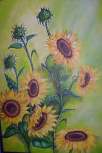 Girasoles