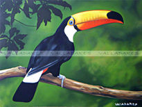 Tucan