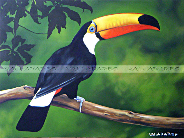 Tucan