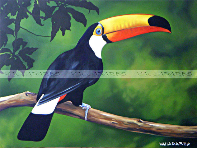 Tucan Óleo Lienzo Animales