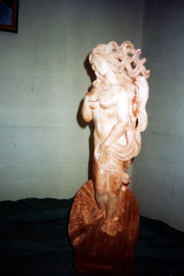 Nacimiento de venus Madera Figurativa