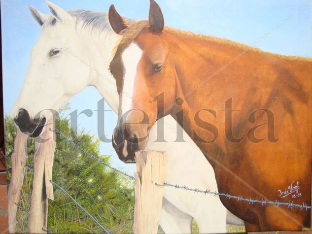 EQUINOS ARGENTINOS Oil Canvas Animals