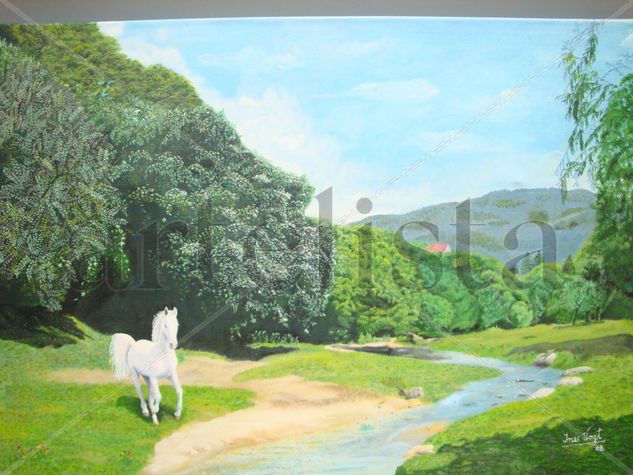 SIERRAS DE CÓRDOBA -ARGENTINA- Oil Canvas Landscaping