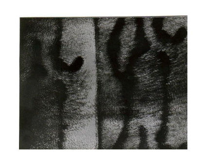 478.st i,1981