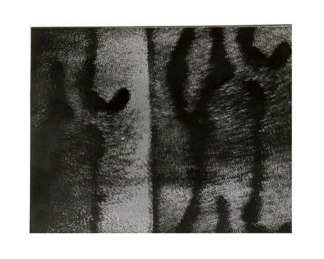 478.ST I,1981