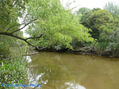 ARROYO EN MAGDALENA