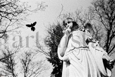 Perpetuidad I