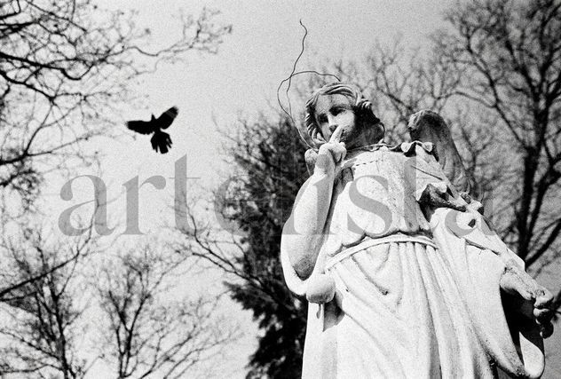 Perpetuidad I