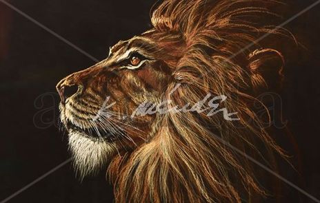Cabeza de leon
