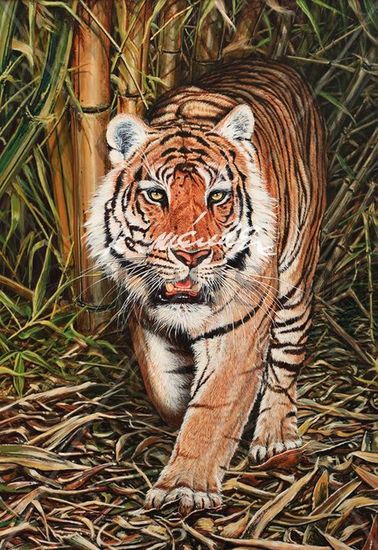 TIGRE DE BENGALA Acrylic Panel Animals