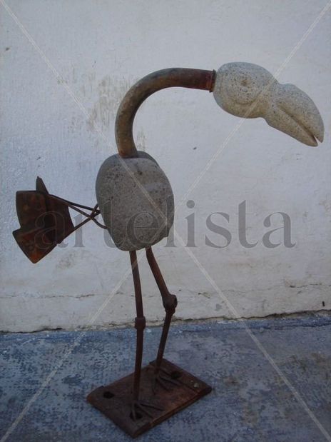 Pájaro y tiempo