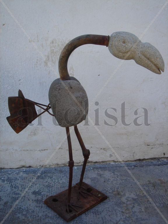 PÁJARO Y TIEMPO