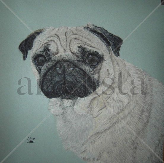 Carlino Pastel Papel Animales