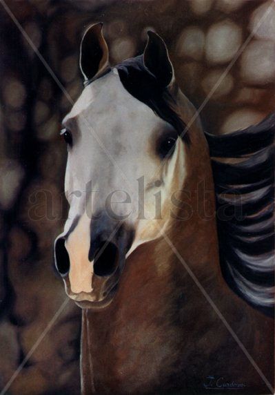 Caballo arabe